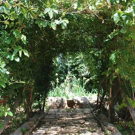 Holiday home Dal Canonico
