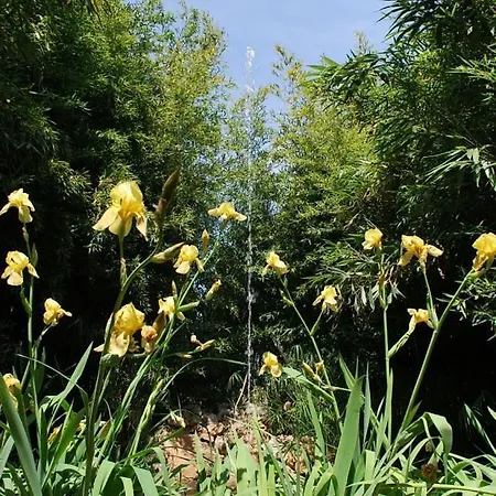 Dal Canonico Holiday home